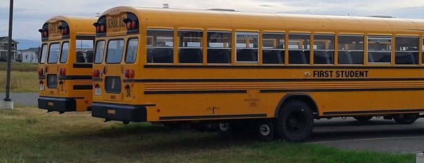 School Buses 1