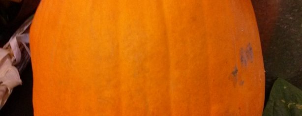 Pumpkin 1