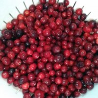 Cranberries 2