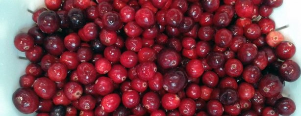 Cranberries 2
