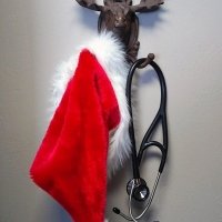 Christmas Moose 1