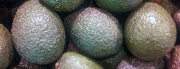 Avacodas 1