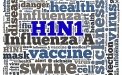 Flu 1