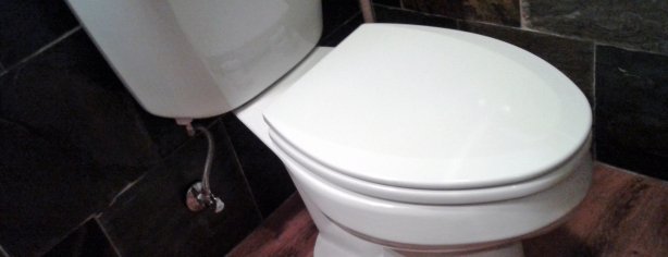 Toilet 1